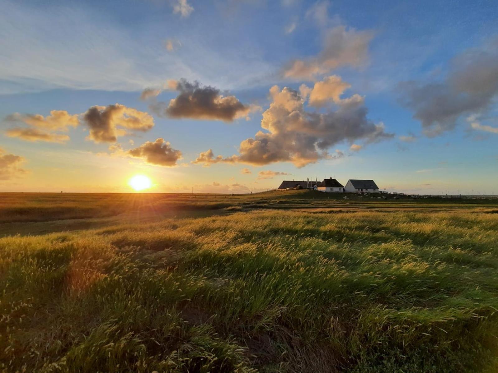 Nordsee Bauernhof Familie Wulff Fewo "Suedfall" Reußenköge Buitenkant foto