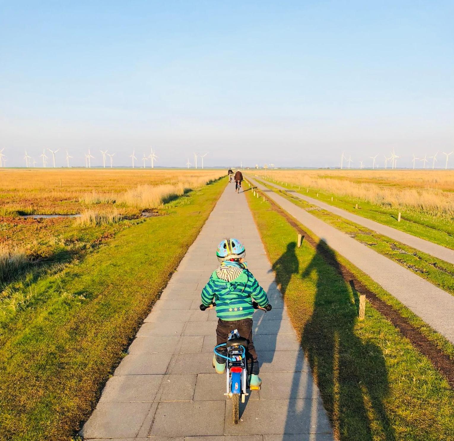 Nordsee Bauernhof Familie Wulff Fewo "Suedfall" Reußenköge Buitenkant foto
